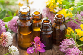 Are Essential Oils Really Drugs?
